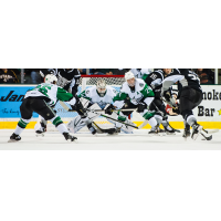 Texas Stars goaltender Colton Point to Texas