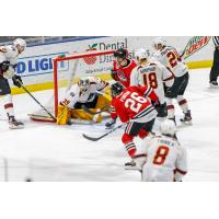 Cleveland Monsters goaltender Brad Thiessen vs. the Rockford IceHogs