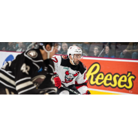 Binghamton Devils right wing Chris Conner vs. the Hershey Bears