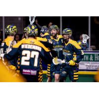 Georgia Swarm celebration against the New York Riptide