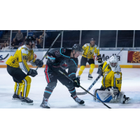 Parker Moskal of the Columbus River Dragons vs. the Battle Creek Rumble Bees