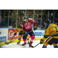 Florida Everblades right wing Justin Auger vs. the Atlanta Gladiators