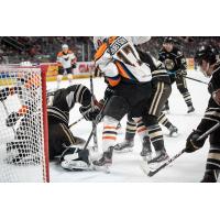 Lehigh Valley Phantoms forward German Rubtsov vs. the Hershey Bears