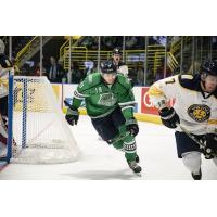 Florida Everblades center Hugo Roy vs. the Norfolk Admirals