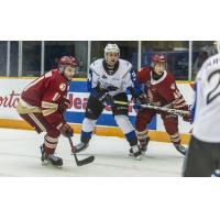 Saint John Sea Dogs right wing Anderson MacDonald vs. the Acadie-Bathurst Titan