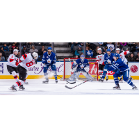 Binghamton Devils defenseman Josh Jacobs takes a shot against the Toronto Marlies
