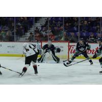 Eric Florchuk of the Vancouver Giants shoots against the Seattle Thunderbirds