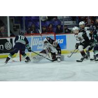 Vancouver Giants goaltender Trent Miner vs. the Seattle Thunderbirds