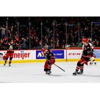 Grand Rapids Griffins react after a goal