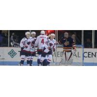 South Carolina Stingrays after a goal against the Greenville Swamp Rabbits