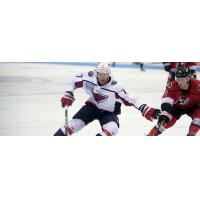 South Carolina Stingrays defenseman Ed Wittchow