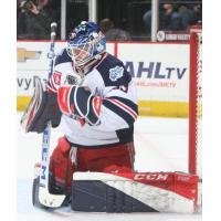 Goaltender Tom McCollum with the Hartford Wolf Pack