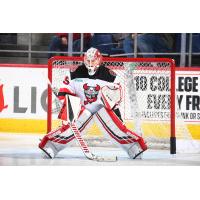Binghamton Devils goaltender Cory Schneider