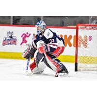 Hartford Wolf Pack goaltender Tom McCollum