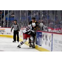 Hartford Wolf Pack forward Lewis Zerter-Gossage