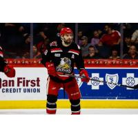 Grand Rapids Griffins defenseman Brian Lashoff