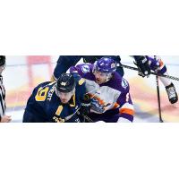 Orlando Solar Bears vs. the Norfolk Admirals