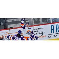 Orlando Solar Bears celebrate a goal