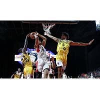 Windy City Bulls defend agains the Erie BayHawks
