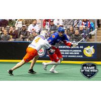 Toronto Rock vs. the Halifax Thunderbirds