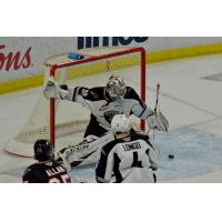 Vancouver Giants goaltender David Tendeck vs. the Calgary Hitmen