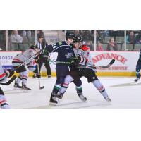 Adirondack Thunder go toe-to-toe with the Maine Mariners