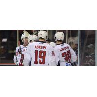 South Carolina Stingrays huddle up after a goal