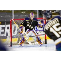 Sioux Falls Stampede goaltender Jaxson Stauber