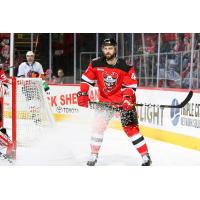 Binghamton Senators defenseman Julian Melchiori