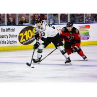 Utah Grizzlies forward Tim McGauley