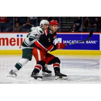 Grand Rapids Griffins defenseman Gustav Lindstrom (right)