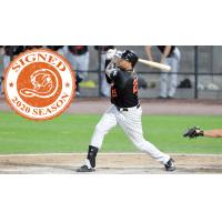 Long Island Ducks outfielder Daniel Fields
