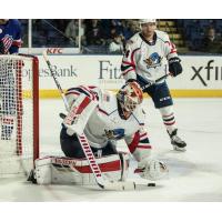 Springfield Thunderbirds goaltender Chris Driedger