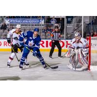 Cleveland Monsters goaltender Veini Vehvilainen vs. the Toronto Marlies