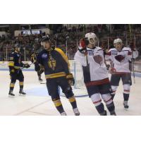Atlanta Gladiators vs. the South Carolina Stingrays