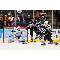 Texas Stars goaltender Colton Point
