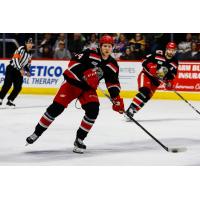 Grand Rapids Griffins defenseman Dennis Cholowski