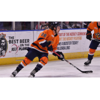 Greenville Swamp Rabbits forward Liam Pecararo