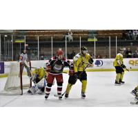Port Huron Prowlers vs. the Battle Creek Rumble Bees