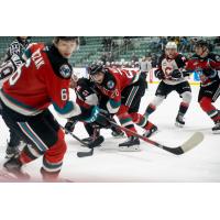 Kelowna Rockets battle the Prince George Cougars