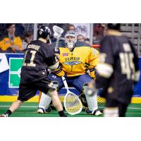Georgia Swarm goalie Mike Poulin vs. the Vancouver Warriors