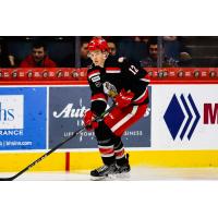 Grand Rapids Griffins defenseman Patrick McCarron