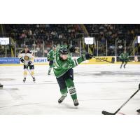 Florida Everblades defenseman Patrick McCarron