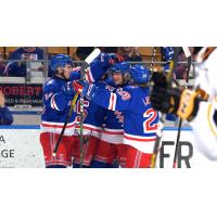 Kitchener Rangers celebrate a goal against the Sarnia Sting