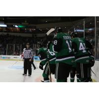 Texas Stars vs. the Grand Rapids Griffins