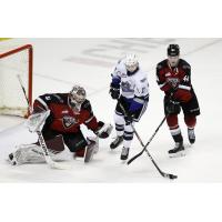 Vancouver Giants goaltender Trent Miner vs. the Victoria Royals