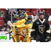Georgia Swarm celebrate a goal against the Vancouver Warriors