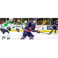 South Carolina Stingrays defenseman Tom Parisi vs. the Maine Mariners