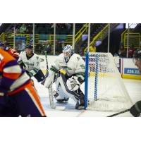 Florida Everblades goaltender Ken Appleby vs. the Orlando Solar Bears