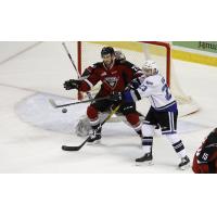 Vancouver Giants defenceman Seth Bafaro (center) vs. the Victoria Royals